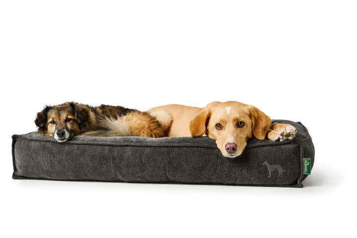 HUNTER Orthopädisches Hundebett Melun